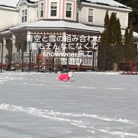 2025/02/01の画像