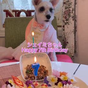 2025/03/19の画像