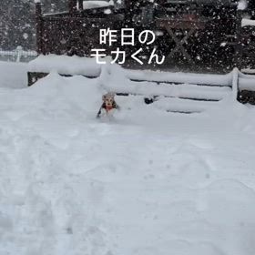 2025/02/08の画像