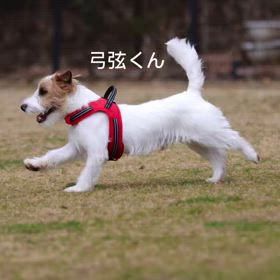 2025/03/21の画像