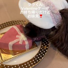 2025/02/12の画像