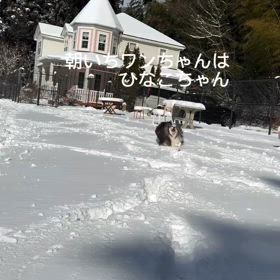 2025/02/18の画像