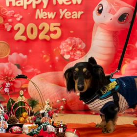 2025/01/06の画像