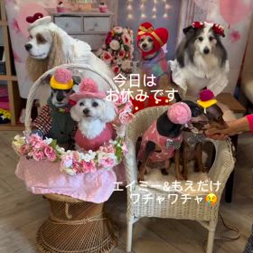 2025/01/29の画像