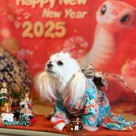 2025/01/05の画像