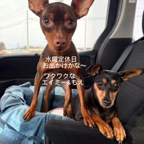2025/02/12の画像