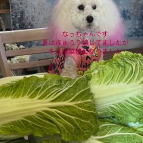 2025/01/13の画像