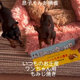 2025/01/13の画像