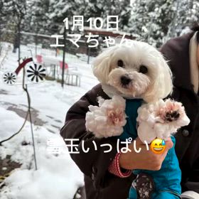 2025/01/27の画像