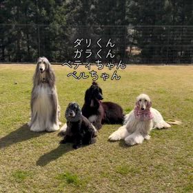 2025/03/31の画像