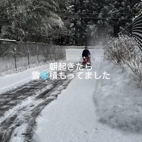 2025/02/09の画像