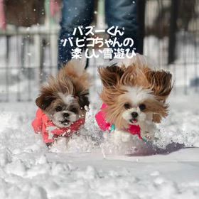 2025/02/13の画像