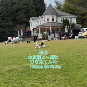 2025/04/25の画像