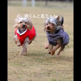 2025/02/02の画像