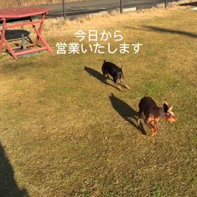 2025/01/03の画像