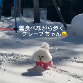 2025/01/19の画像