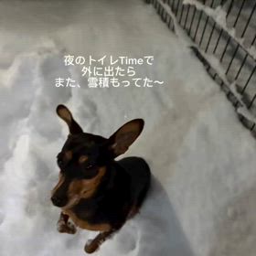 2025/02/09の画像