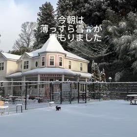 2025/01/17の画像