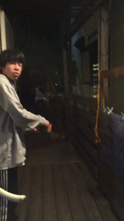 森のしろくまさんの豆撒きの記事動画