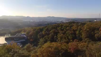 いよいよ今週土曜は…の記事動画