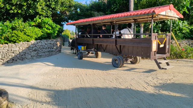 【人生初の一人旅】ついに完結！の記事動画