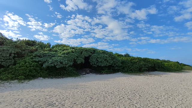 【人生初の一人旅】ついに完結！の記事動画