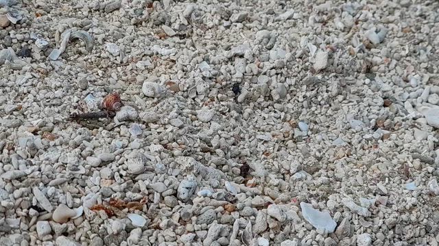 【人生初の一人旅】ついに完結！の記事動画