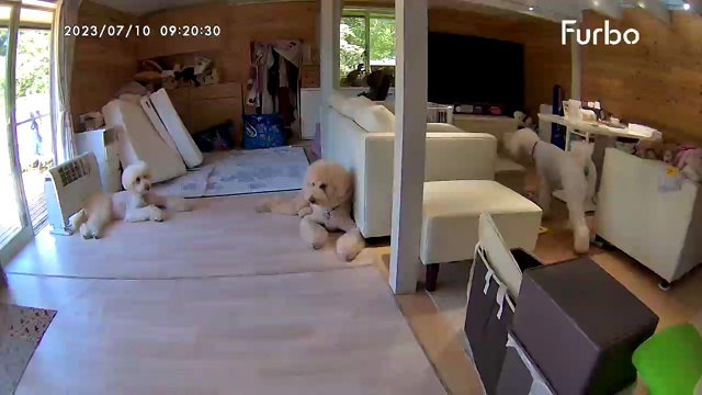 2拠点生活の記事動画