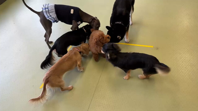 お試し保育の記事動画