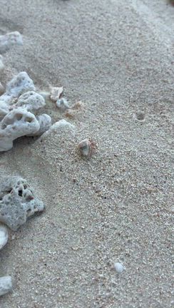 一人旅の思い出の記事動画