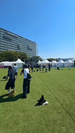 お台場・大規模イベントフェス◎キメラゲームス2026【初心者歓迎バーチャルボクシング®️】の記事動画