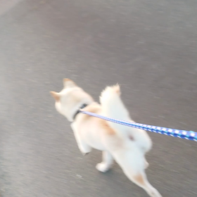気持ちの画像