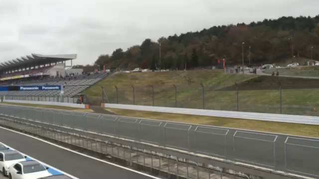 〜モロールス モロイス(動画追記)〜の記事動画