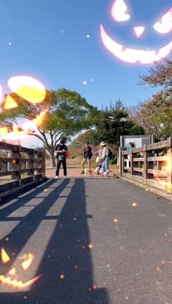 去年2023年のハロウィン散歩イベントin福岡の記事動画