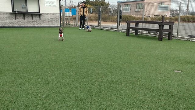 久しぶりにの記事動画