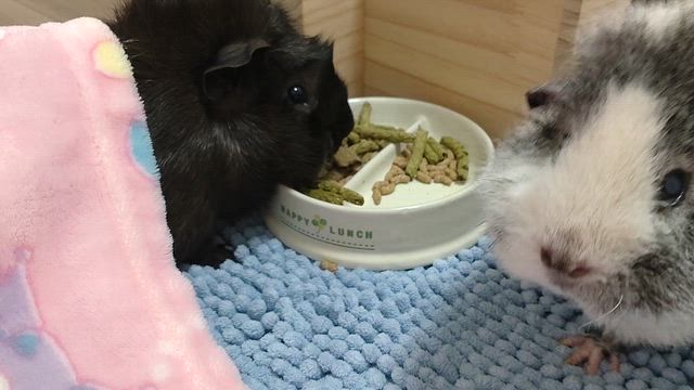 2秒で 終わってしまった○○○の記事動画
