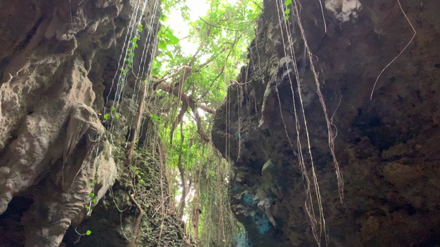 旅した〜い❣️思い出(๑˃̵ᴗ˂̵)の記事動画