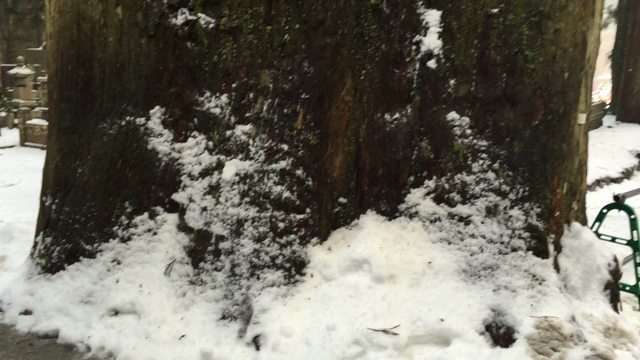 高野山・合宿を終え…(-_^)の記事動画