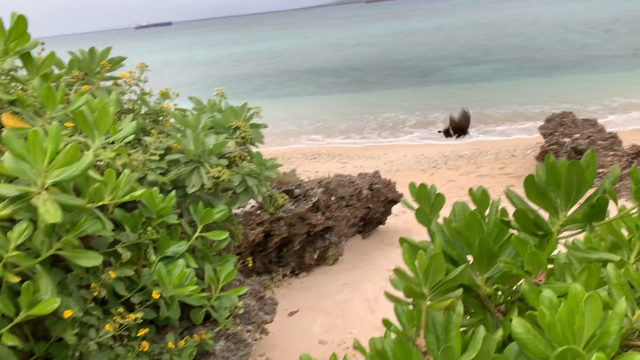 旅した〜い❣️思い出(๑˃̵ᴗ˂̵)の記事動画