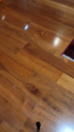 愛らしいミキティの記事動画