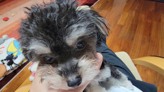 抱っこしたらすぐに、、の記事動画