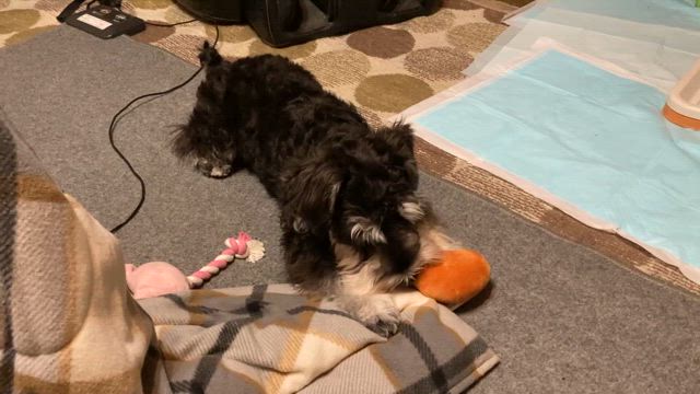 ご報告、じつわですね…の記事動画