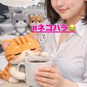 2026/04/19の画像
