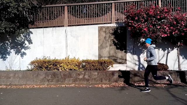 前傾姿勢と後傾姿勢では走れるスピードが変わりますね　「フルマラソンを上手く走ろう」５の記事動画