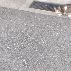 毎日が眠たくて、、の画像