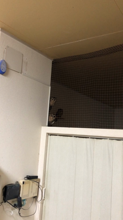 待ち構える奴ら…の記事動画