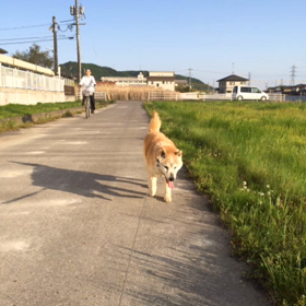 天国に旅立ちました。。。の画像