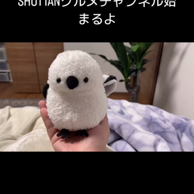 2023/12/23の画像