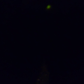 ホタルが我が家にやって来たの画像