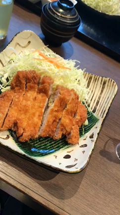 SNSでファンができる方法♡【家族旅行１日目 味噌カツ〜名古屋城】の記事動画